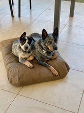Dog Bed Canvas Kevlar Super Tough Design