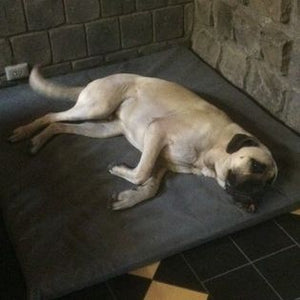 Dog Bed  Kevlar Super Tough Version