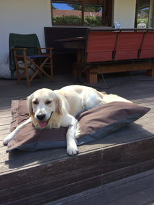 Canvas Dog Bed